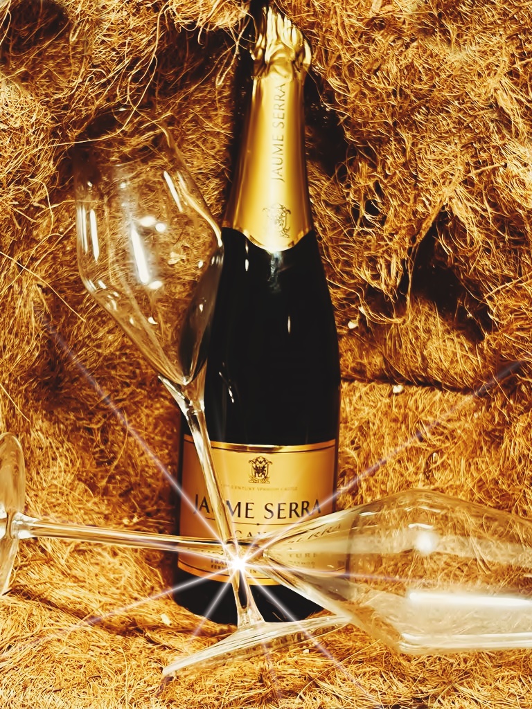 Cava Jaume Serra