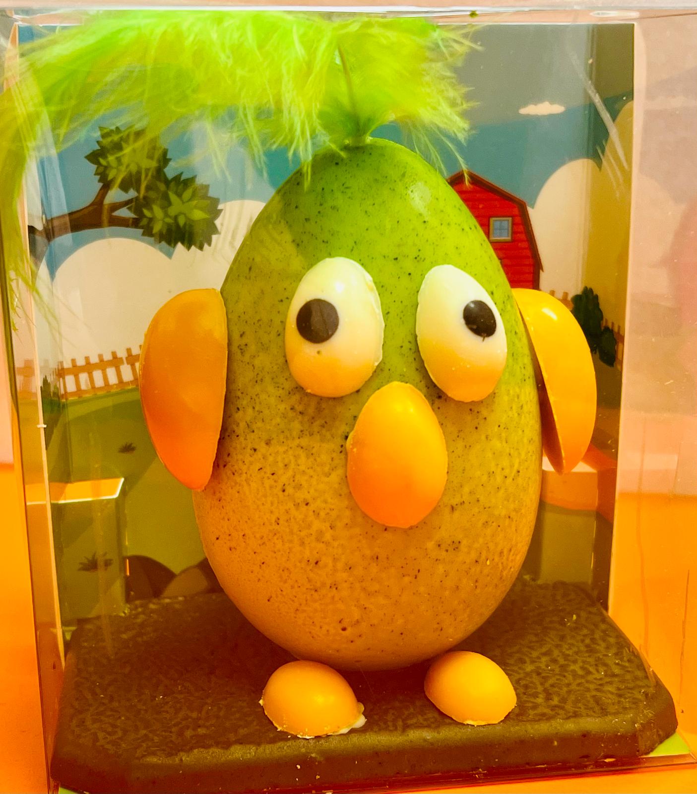 Pollito pluma